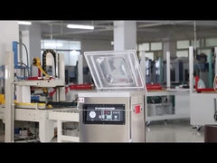DUOQI DZ-400 Máquina de embalaje en vacío de cámara única con control eléctrico