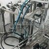 500 BPH Máquina automática de llenado de botellas de vidrio de plástico líquido